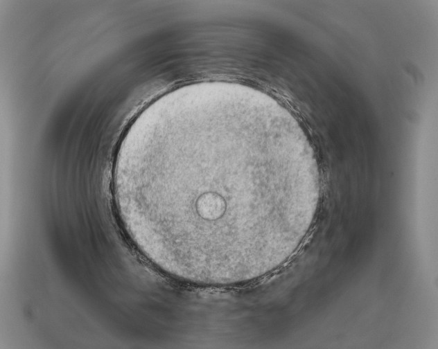 X0000112020146200909141042