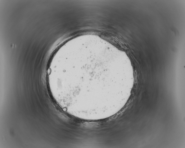 X0000112020150200909141043