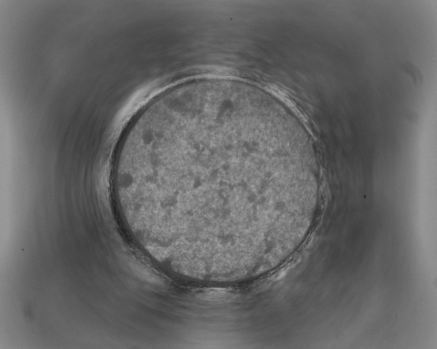 X0000112020151200909141043