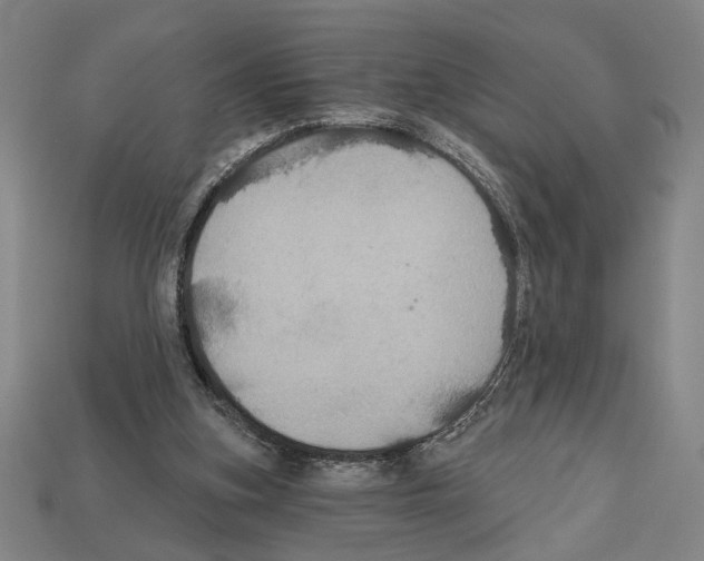 X0000112020155200909141043