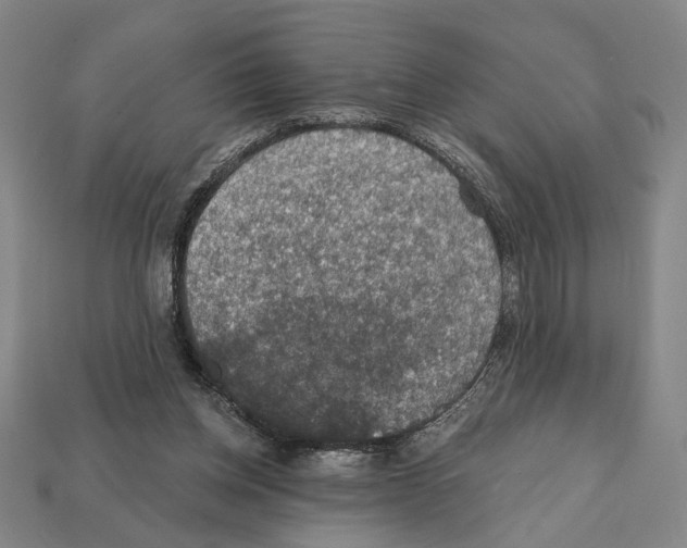 X0000112020158200909141043