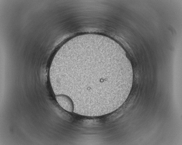 X0000112020160200909141043