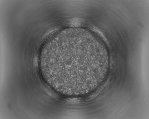 X0000112020161200909141043