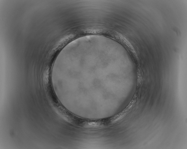 X0000112020163200909141043