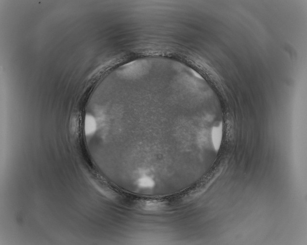 X0000112020165200909141043