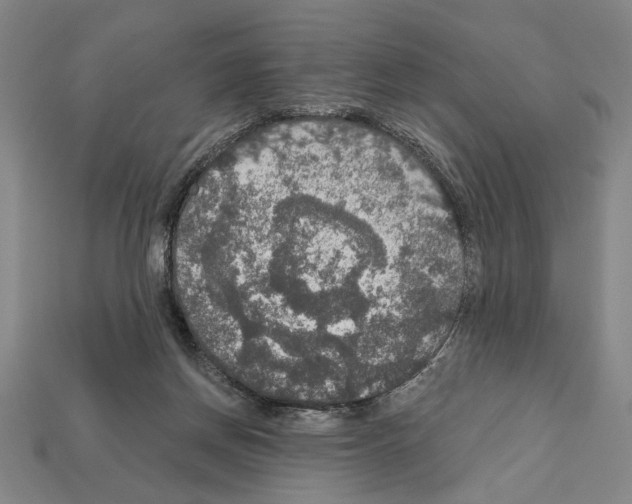 X0000112020166200909141043