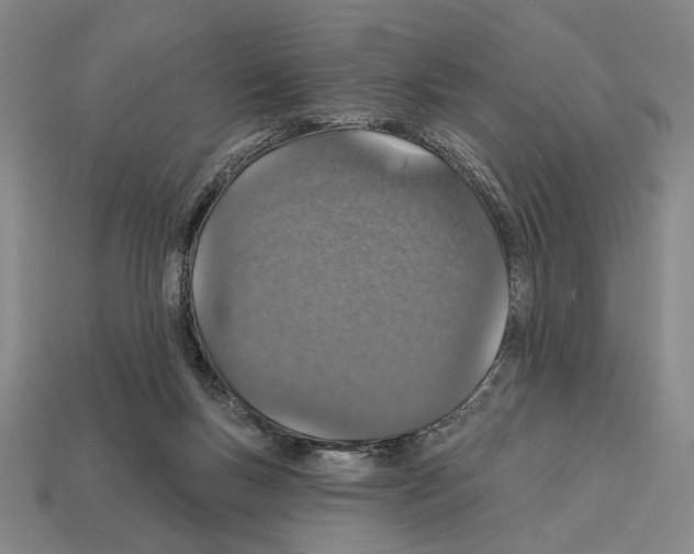 X0000112020167200909141043