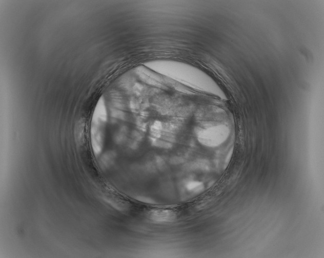 X0000112020169200909141043