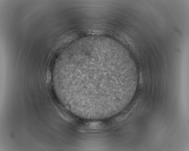 X0000112020173200909141043