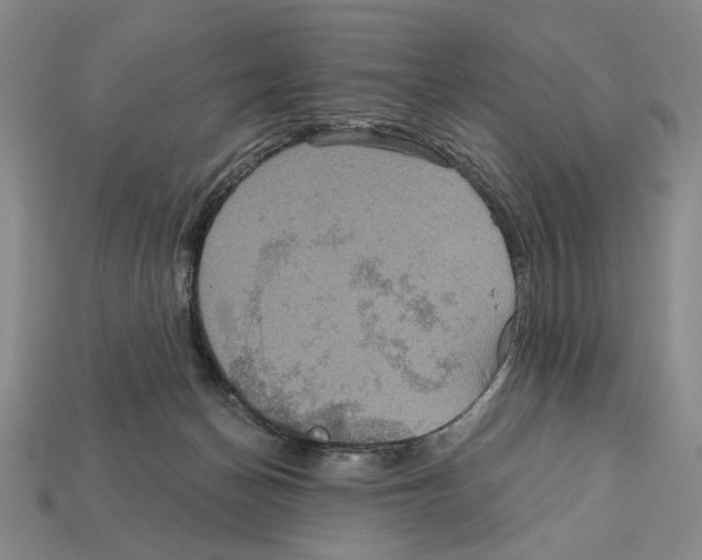 X0000112020174200909141043