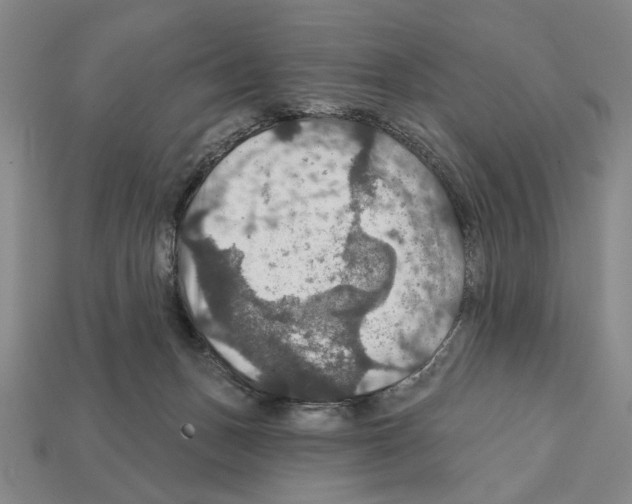 X0000112020175200909141043