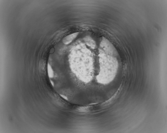 X0000112020178200909141043