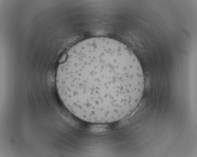 X0000112020179200909141043