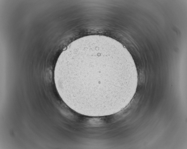 X0000112020183200909141043