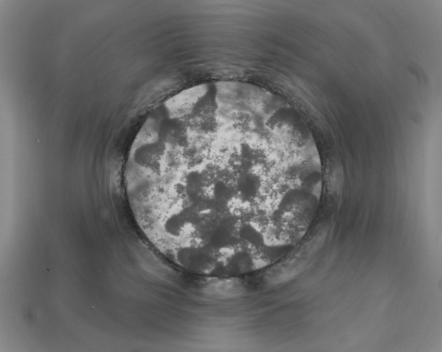 X0000112020185200909141043