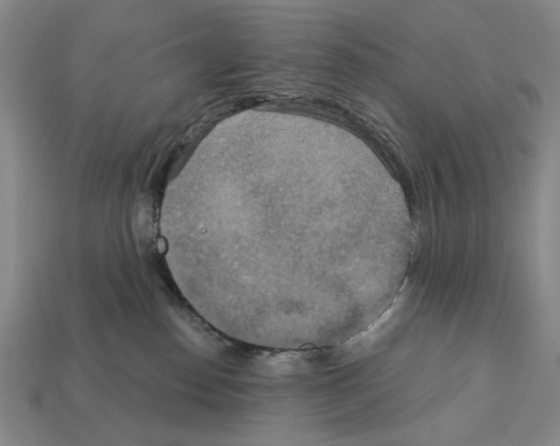 X0000112020186200909141043