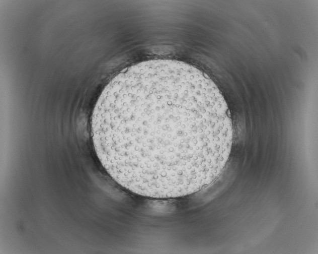 X0000112020187200909141043