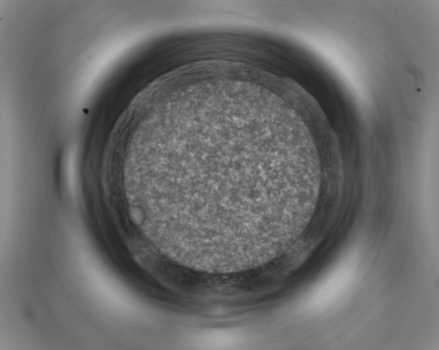 X0000112020189200909141043