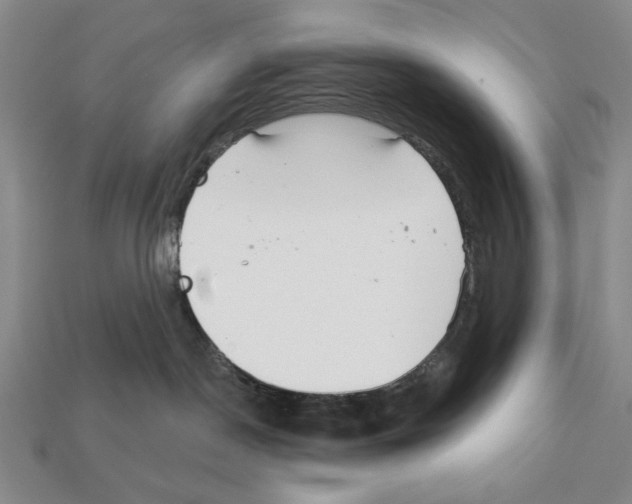 X0000112020190200909141043