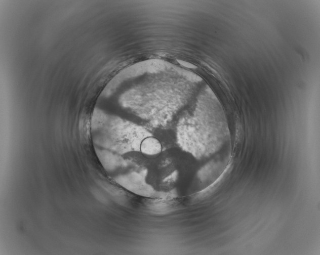 X0000112020191200909141043