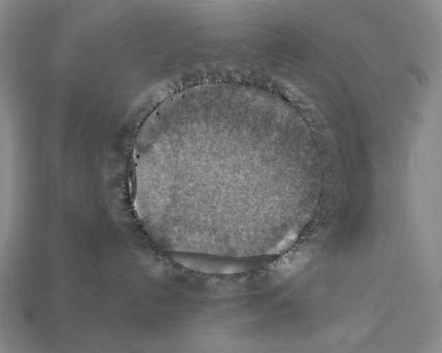 X0000112020192200909141043