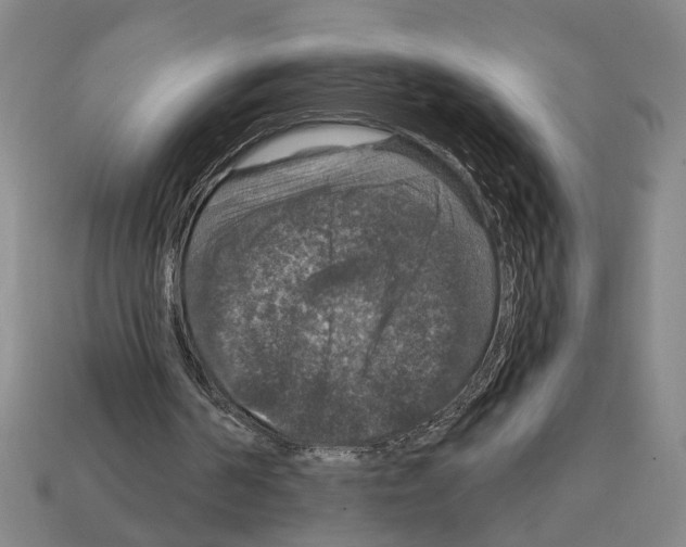 X0000112020194200909141042