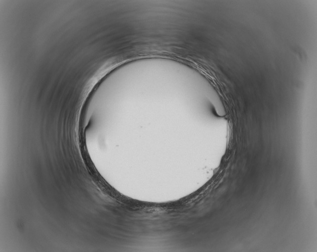 X0000112020195200909141042