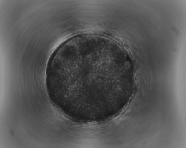 X0000112020196200909141042