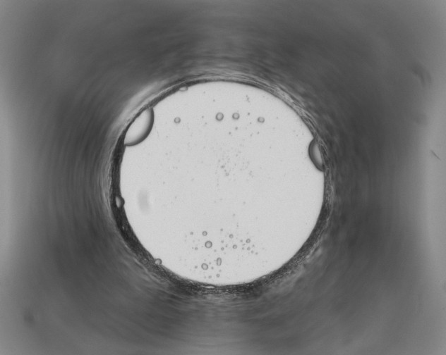 X0000112020199200909141042