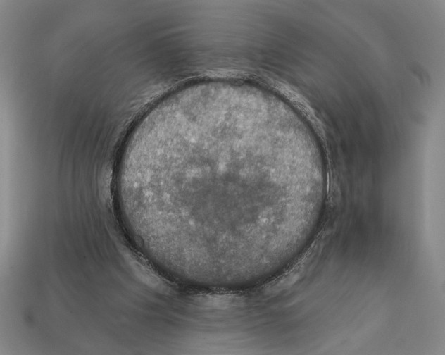 X0000112020201200909141042