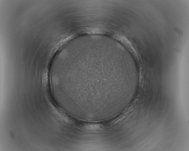 X0000112020202200909141042