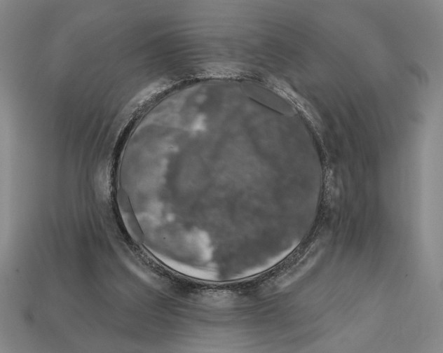 X0000112020203200909141042