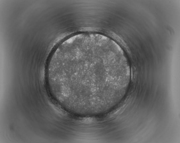 X0000112020204200909141042