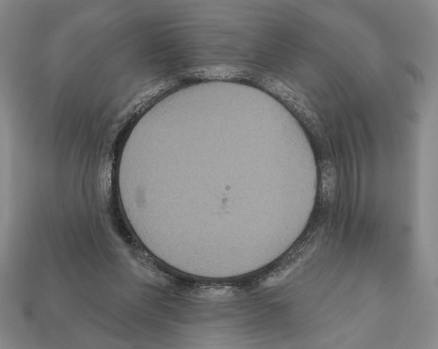 X0000112020206200909141042