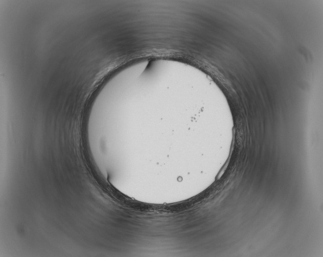 X0000112020207200909141042