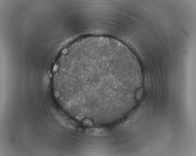 X0000112020208200909141042