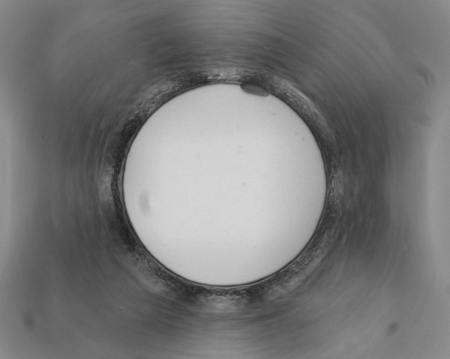 X0000112020209200909141042