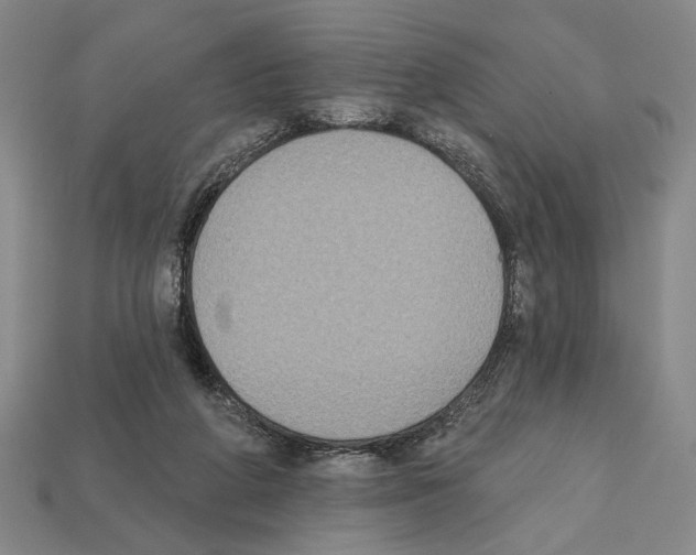 X0000112020210200909141042