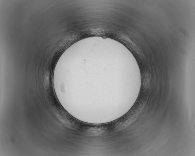 X0000112020213200909141042