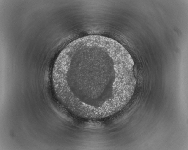 X0000112020215200909141042