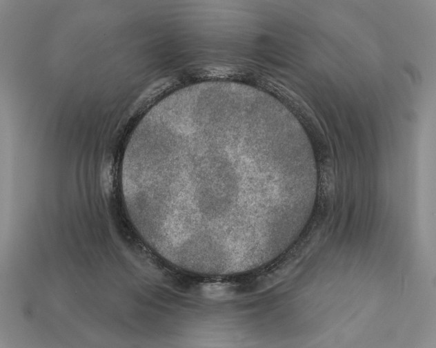 X0000112020216200909141042