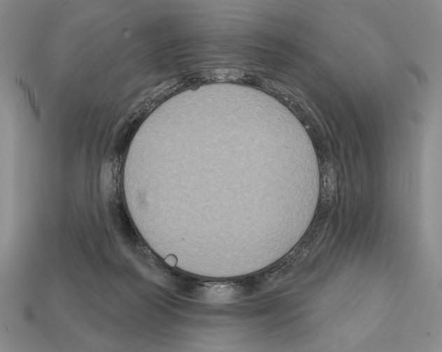 X0000112020218200909141042