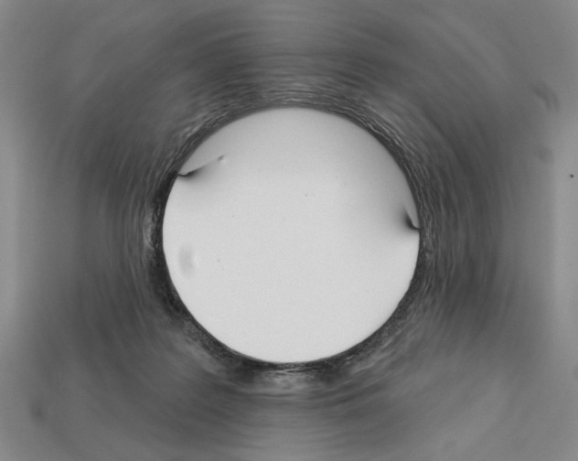 X0000112020219200909141042