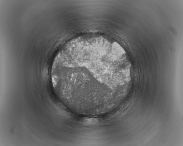 X0000112020220200909141042