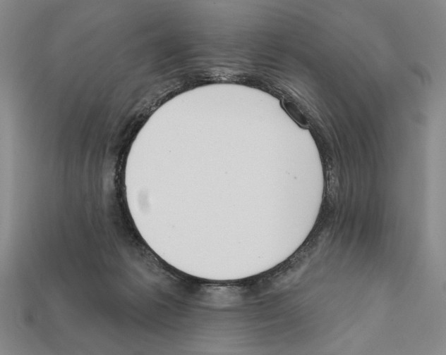 X0000112020221200909141042