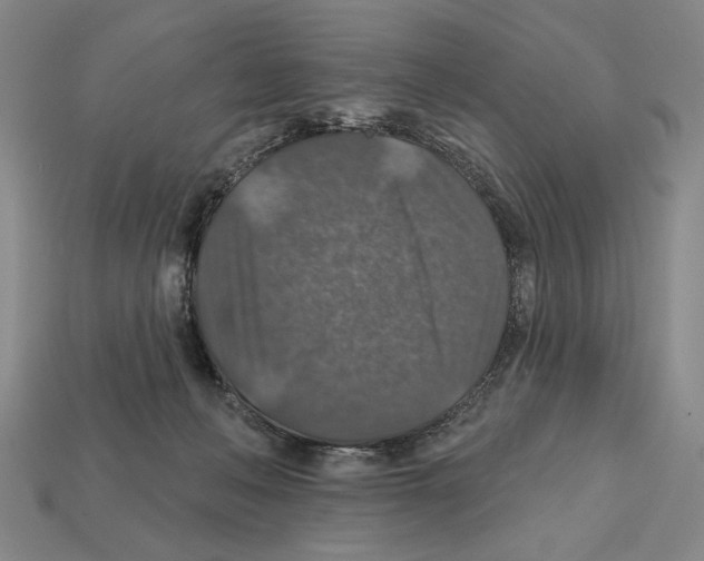 X0000112020222200909141042