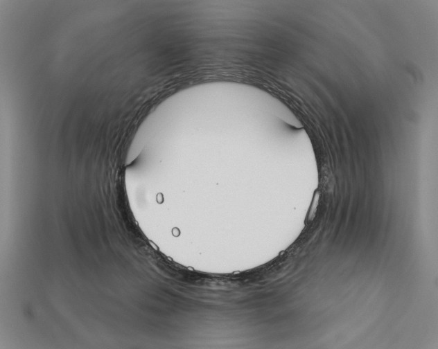 X0000112020223200909141042