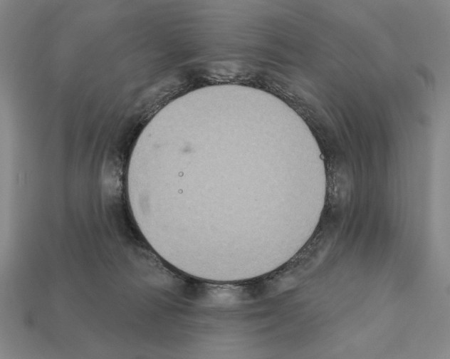 X0000112020226200909141042