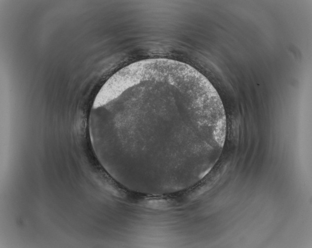 X0000112020228200909141042