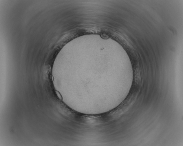 X0000112020229200909141042